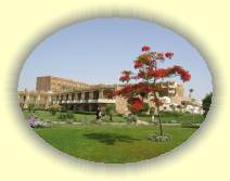 IMG_2007_05_31 12_51_29 * 2272 x 1704 * (618KB)